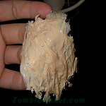 scar removed from plate